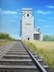 Grain elevator in Dugald
