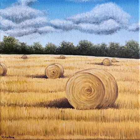 Hay bales in the field