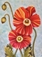 Icelandic Poppies
