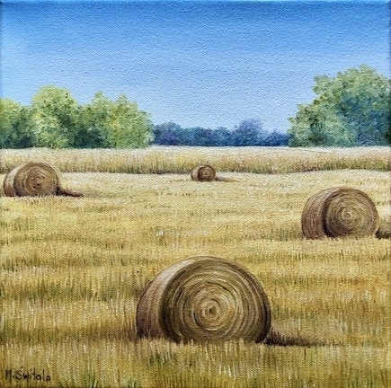 Pembina Valley hay bales