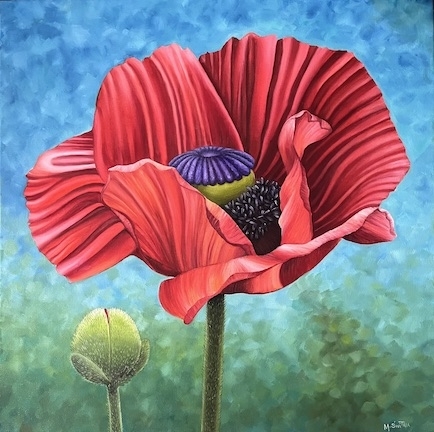 Rouge Papaver Orientale