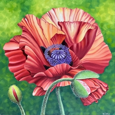 Scarlet Papaver Orientale
